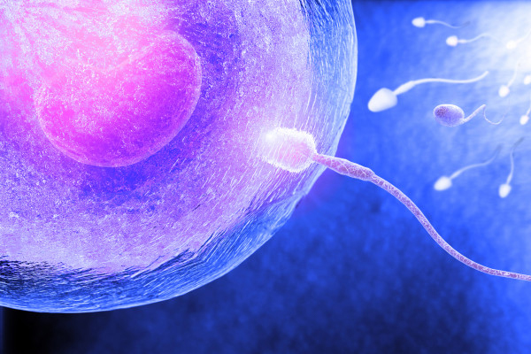 Ginecólogo especialista en fertilidad