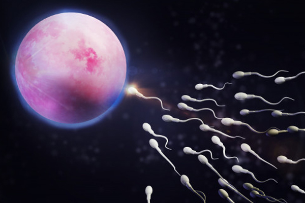 ginecologo fertilidad